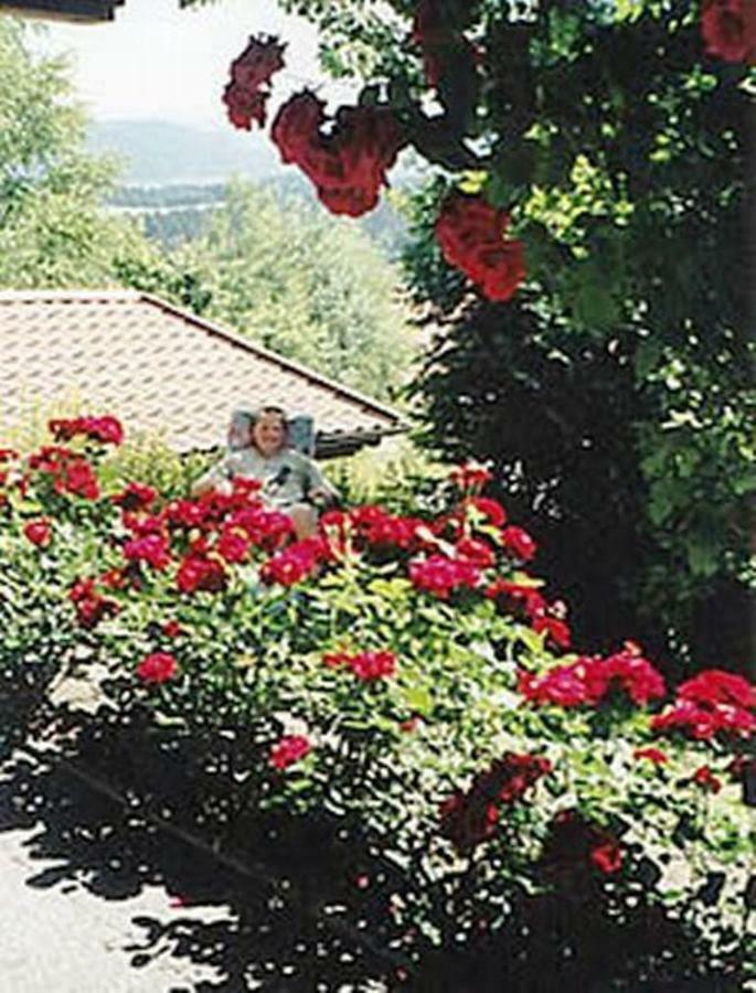 Апартаменти Haus Bergblick Bay. Wald Prackenbach Екстер'єр фото